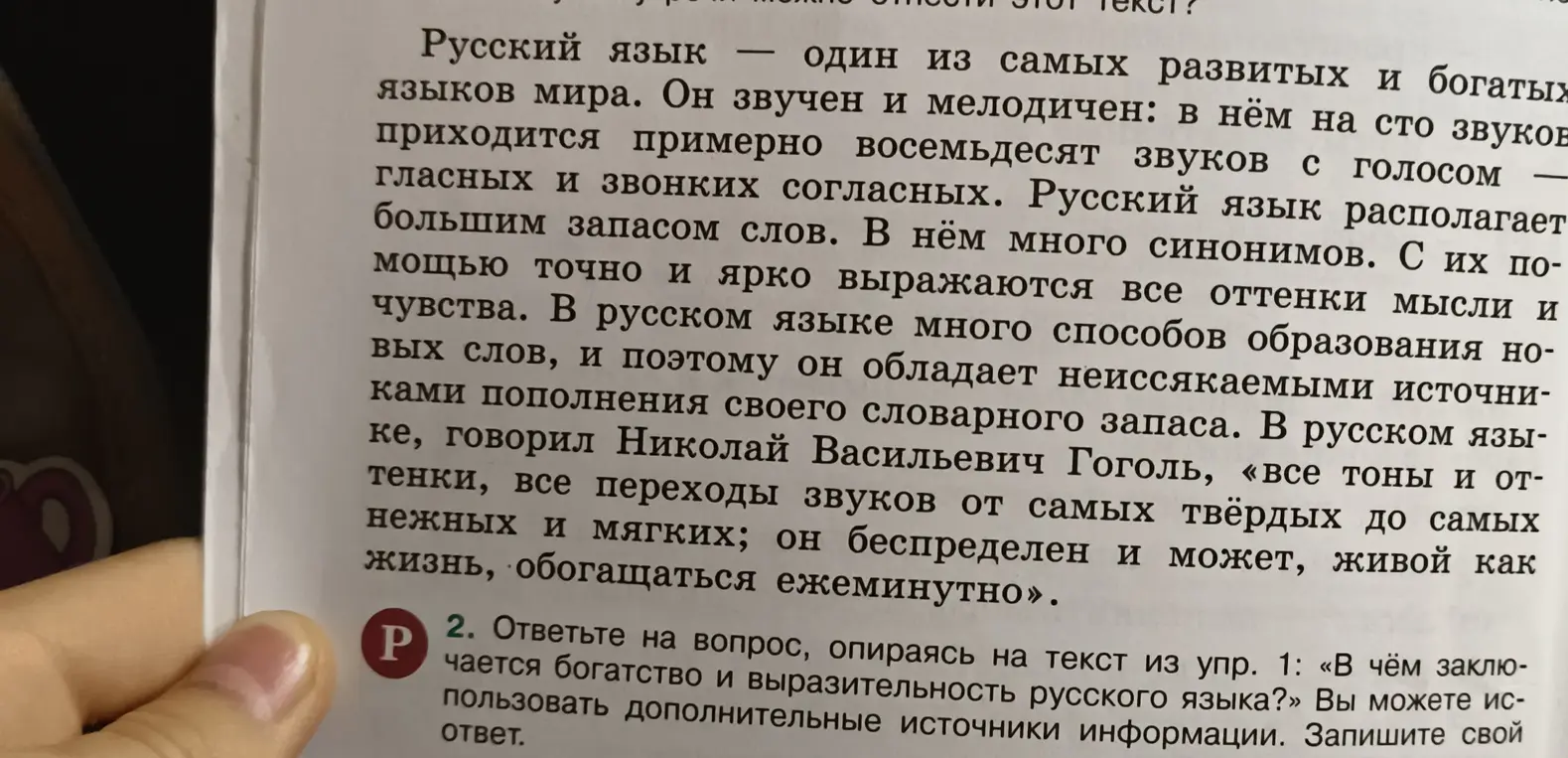 Ответь на вопрос, опираясь на текст: В чём заключается богатство и выразительность русского языка?