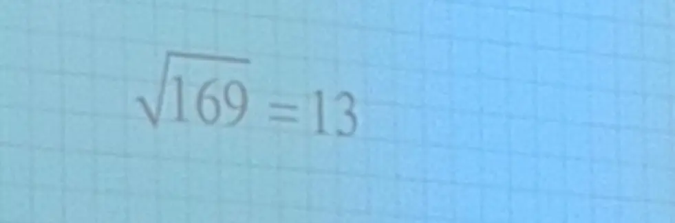 Вычисли квадратный корень из 169