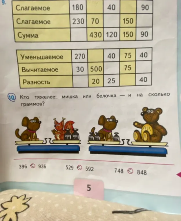 Кто тяжелее: мишка или белочка — и на сколько граммов?