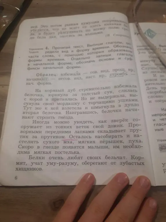 Выпиши глаголы, определи вид и форму времени, обозначь основы и суффиксы начальной формы из текста