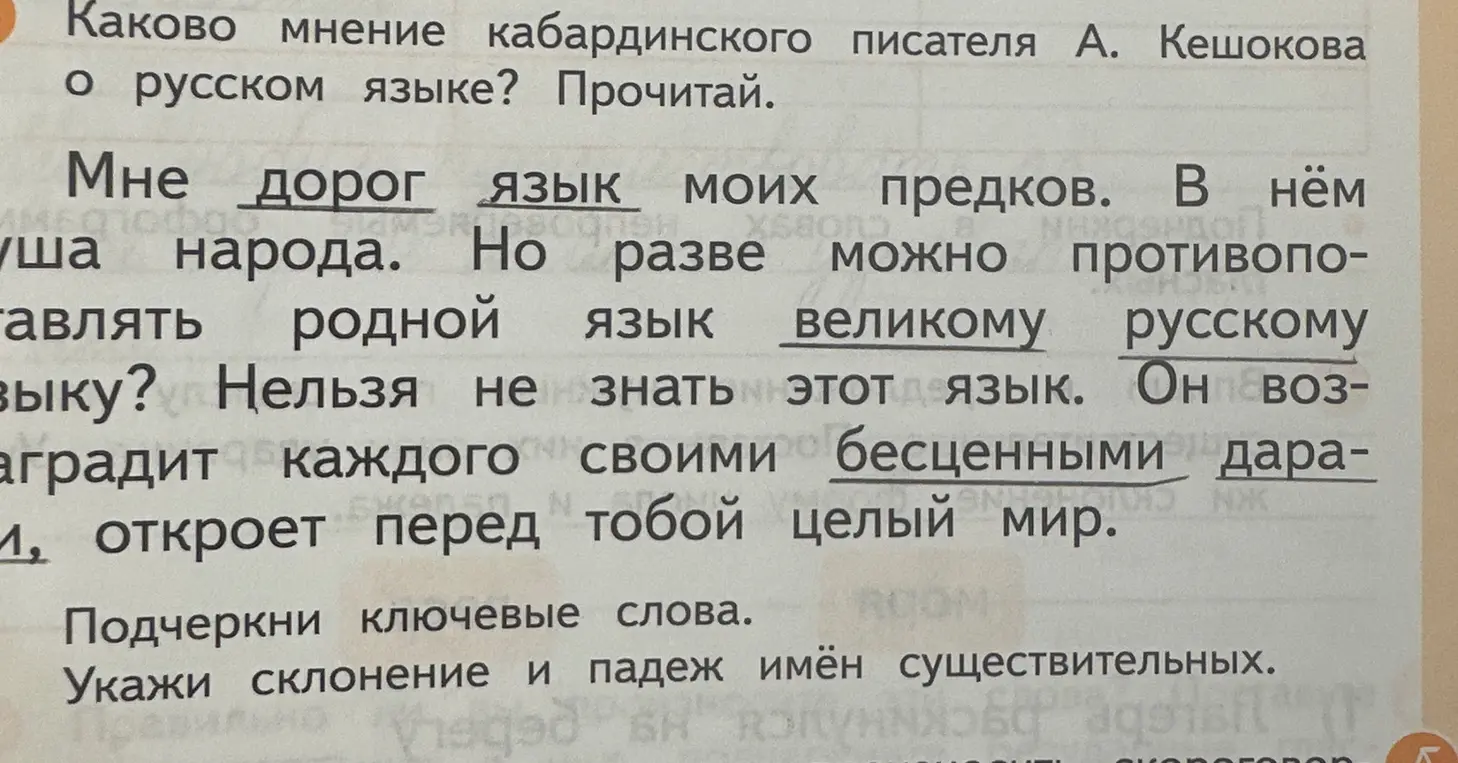 Подчеркни ключевые слова. Укажи склонение и падеж имён существительных.