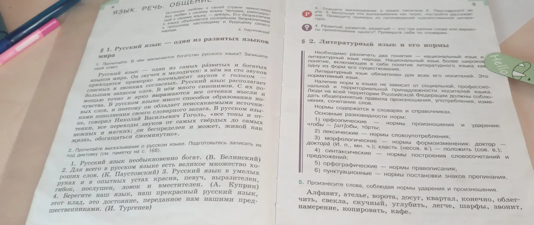 В чём заключается богатство русского языка?