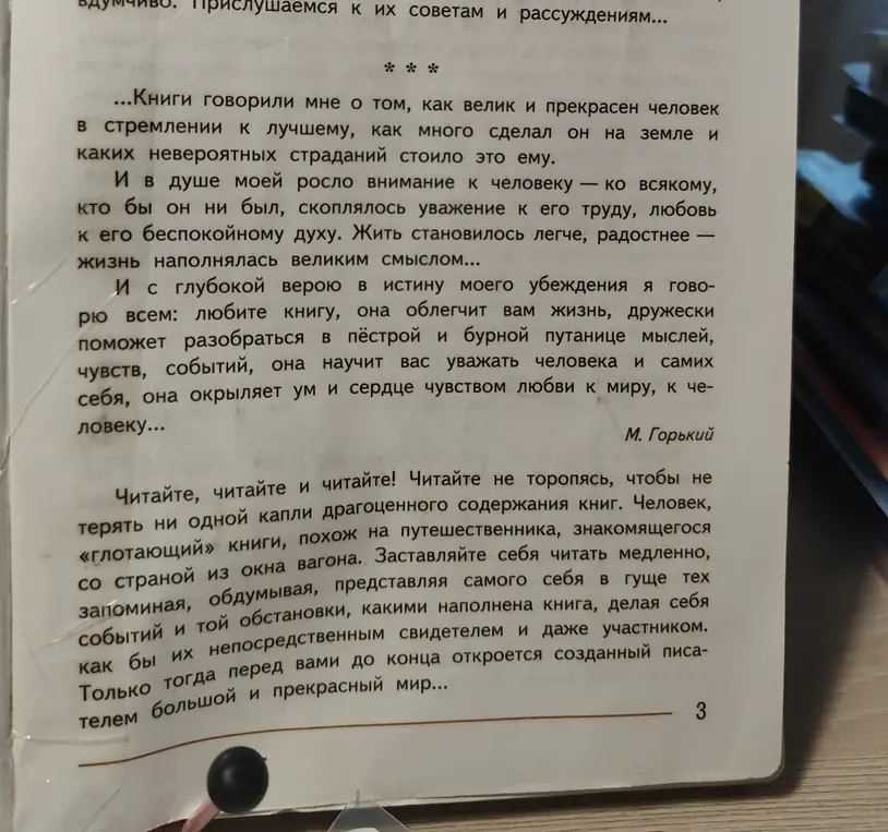 Напиши, о чём говорится в тексте и какова основная мысль автора.