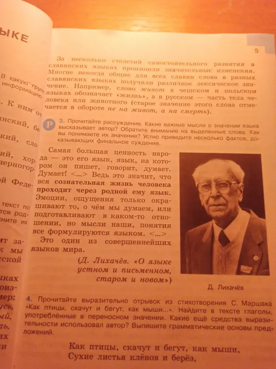 Найди в тексте глаголы, употреблённые в переносном значении.