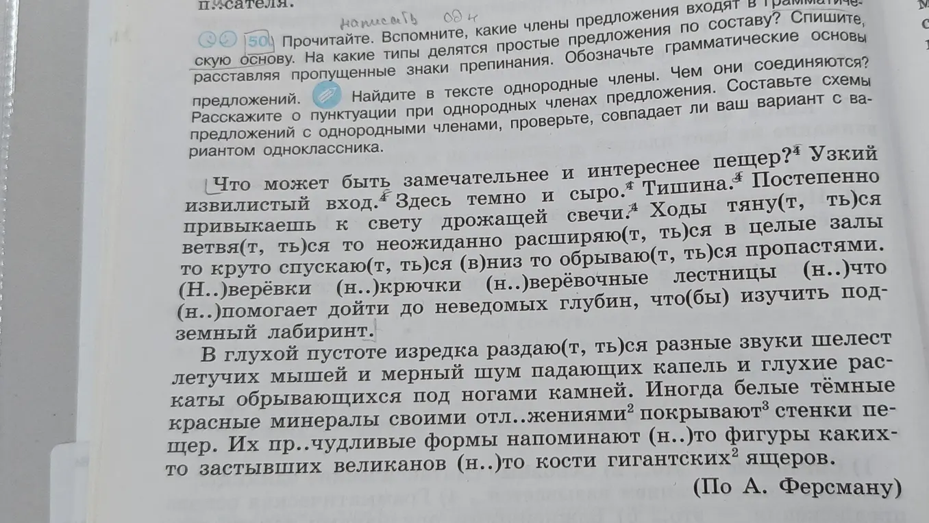Найди в тексте однородные члены предложения.
