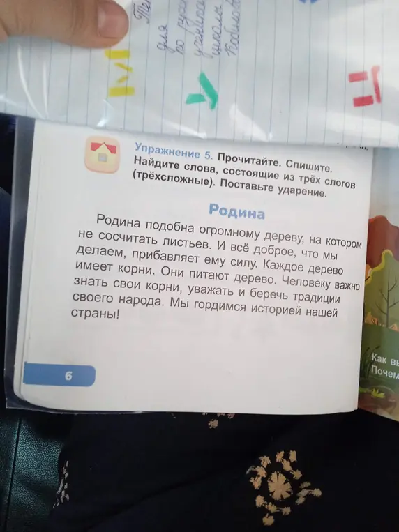 Найди слова, состоящие из трёх слогов (трёхсложные) и поставь ударение.