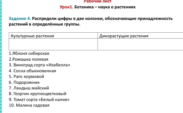 Распредели цифры в две колонки, обозначающие принадлежность растений в определённые группы.
