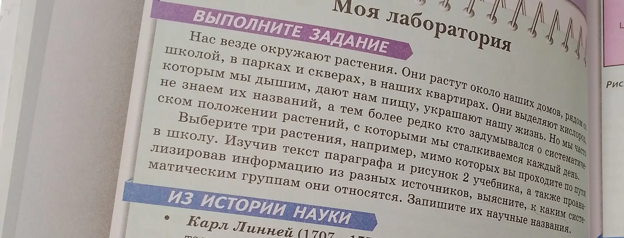 Выберите три растения, с которыми мы сталкиваемся каждый день, выясните, к каким систематическим группам они относятся, и запишите их научные названия.