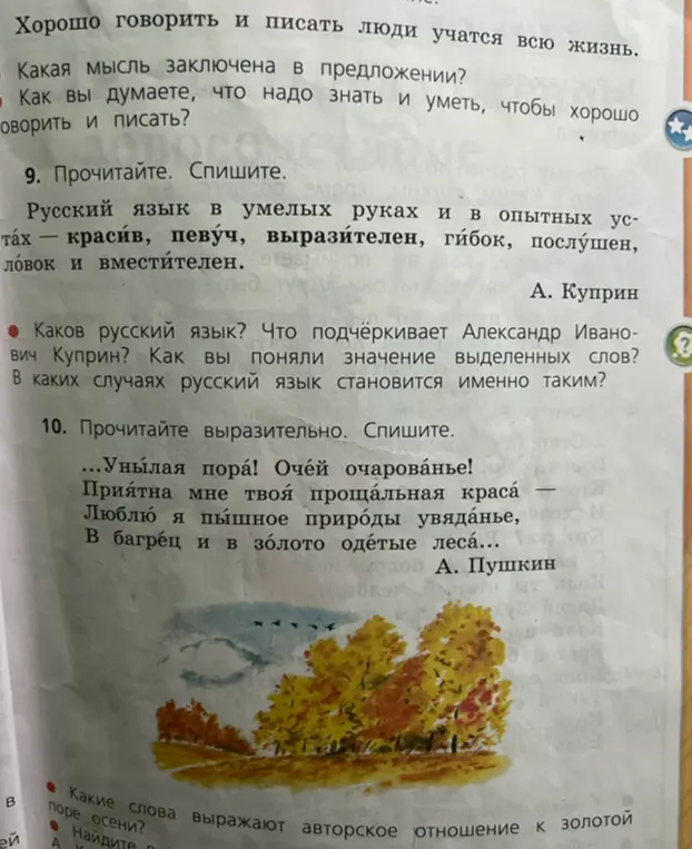 Какая мысль заключена в предложении 'Хорошо говорить и писать люди учатся всю жизнь'?