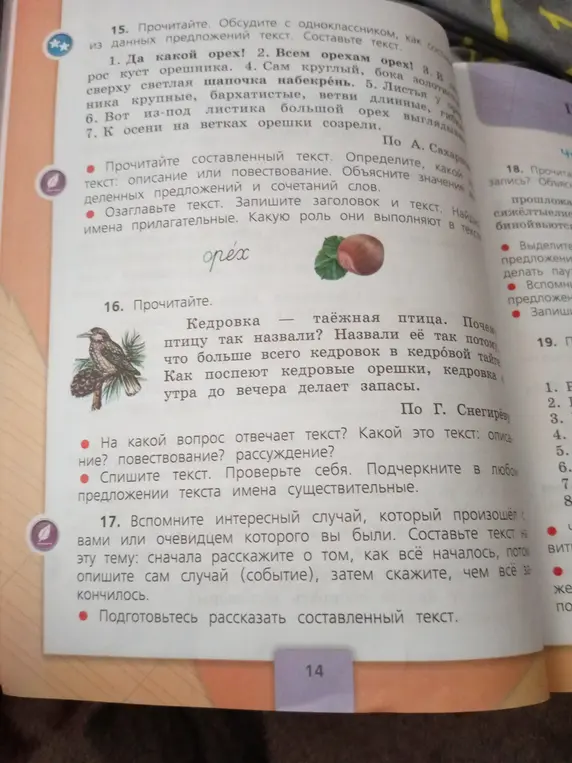 Прочитай текст про кедровку и ответь на вопросы