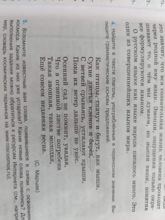 Найди в тексте глаголы, употреблённые в переносном значении. Выпиши грамматические основы предложений.