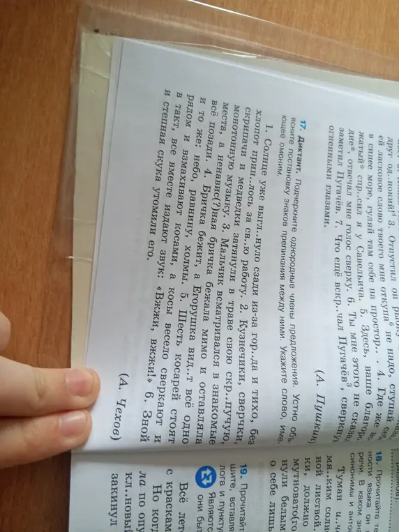 Подчеркни однородные члены предложения. Устно объясни постановку знаков препинания между ними. Укажи слово, имеющее омоним.