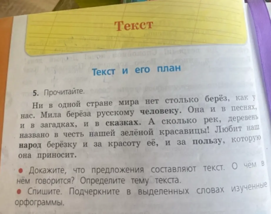 Докажите, что предложения составляют текст. О чём в нём говорится? Определите тему текста.
