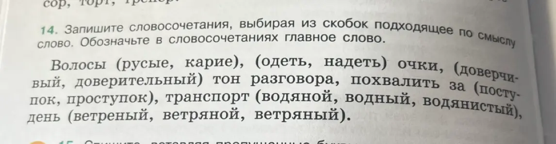 Запиши словосочетания, выбирая из скобок подходящее по смыслу слово, и обозначь главное слово. Пример: Волосы (русые, карие).