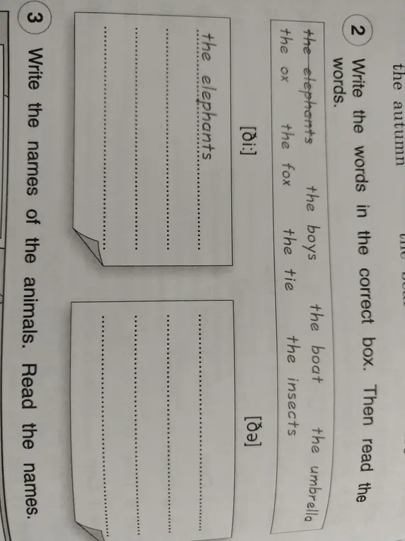 Write the words in the correct box. Then read the words.