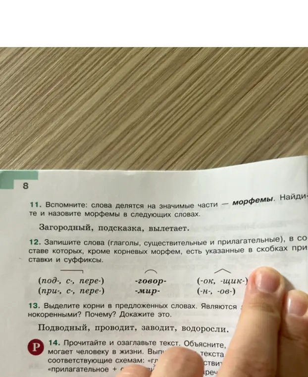 Найди и назови морфемы в словах: Загородный, подсказка, вылетает.