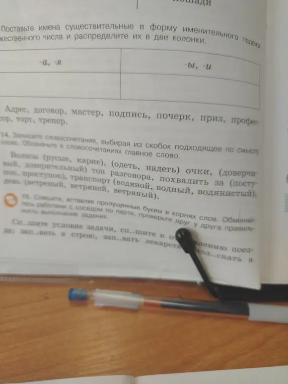 Поставь имена существительные в форму именительного падежа множественного числа и распредели их в две колонки: -а, -я и -ы, -и.
