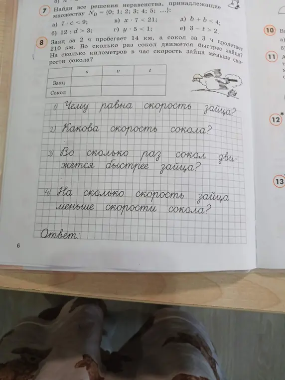 Чему равна скорость зайца?