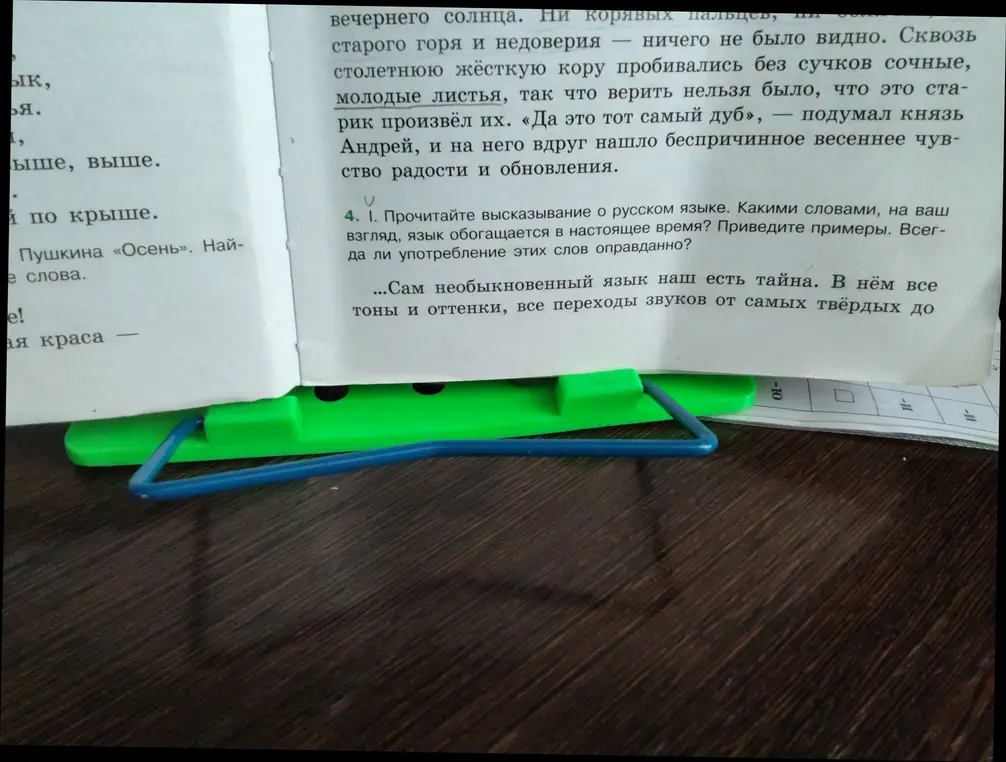 Прочитайте высказывание о русском языке. Какими словами, на ваш взгляд, язык обогащается в настоящее время? Приведите примеры. Всегда ли употребление этих слов оправданно?