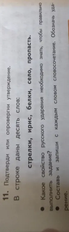 Подтверди или опровергни утверждение, что в строке даны десять слов: стрелки, ирис, белки, село, пропасть.