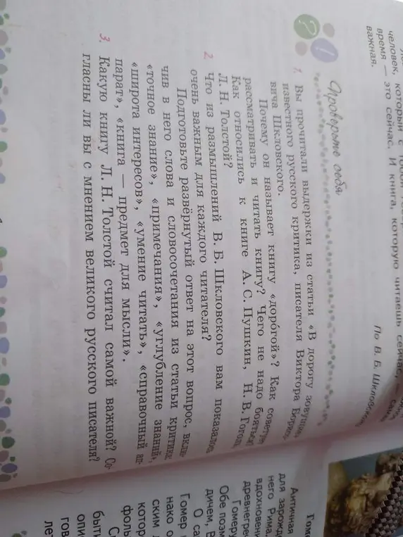 Вы прочитали выдержки из статьи «В дорогу зовущие» известного русского критика, писателя Виктора Борисовича Шкловского. Почему он называет книгу «дорогой»?