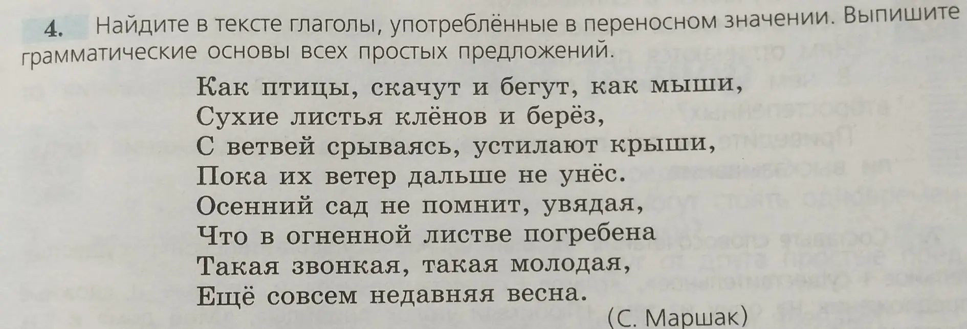 Найди в тексте глаголы, употреблённые в переносном значении. Выпиши грамматические основы всех простых предложений.