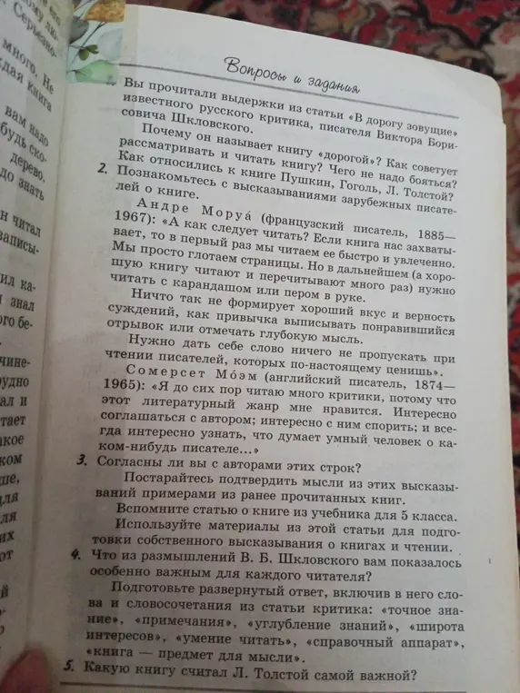 Почему В. Б. Шкловский называет книгу «дорогой»?