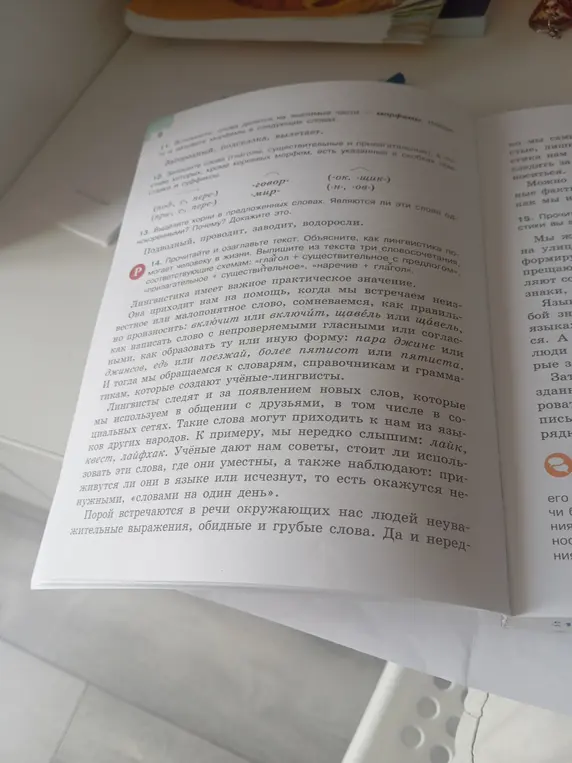 Выделите корни в предложенных словах: Подводный, проводит, заводит, водоросли. Являются ли эти слова однокоренными?