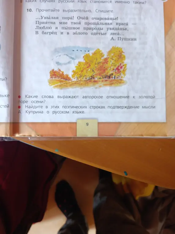 Какие слова выражают авторское отношение к золотой поре осени?