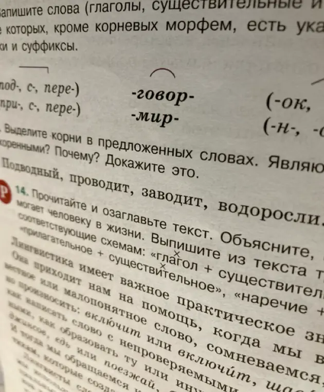 Выдели корни в словах 'Подводный', 'проводит', 'заводит', 'водоросли' и определи, являются ли они однокоренными