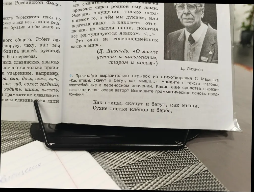 Прочитайте выразительно отрывок из стихотворения С. Маршака «Как птицы, скачут и бегут, как мыши...». Найдите в тексте глаголы, употреблённые в переносном значении.