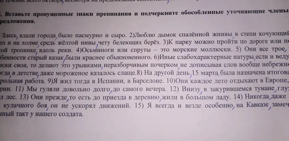 Вставь пропущенные знаки препинания и подчеркни обособленные уточняющие члены предложения.