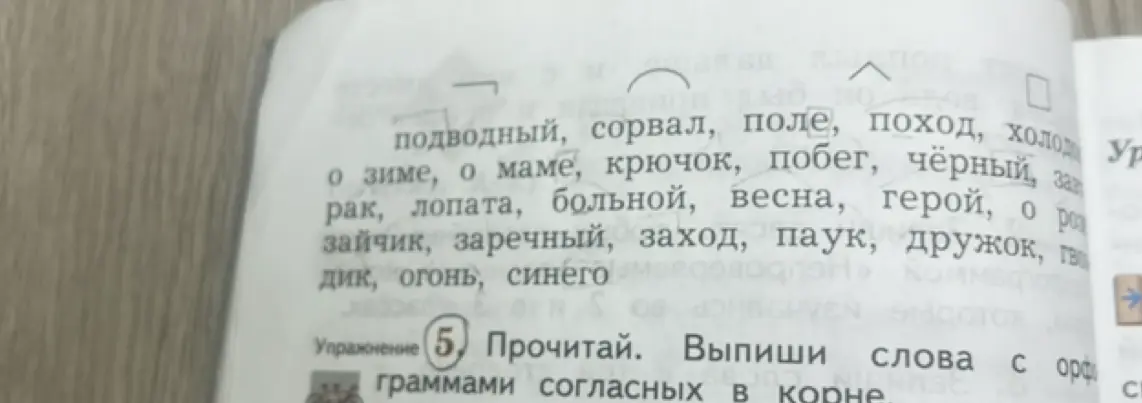 Выпиши слова с орфограммами согласных в корне.
