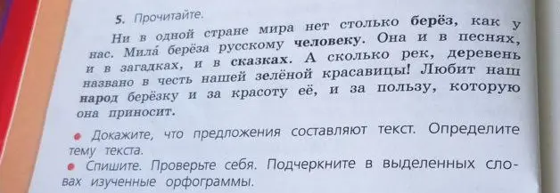 Докажи, что предложения составляют текст. Определи тему текста.