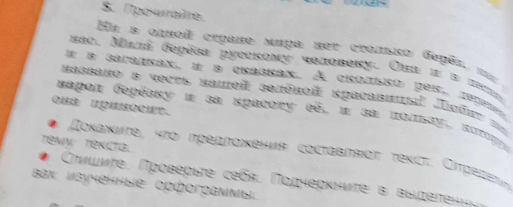 Докажите, что предложения составляют текст. Определите тему текста.