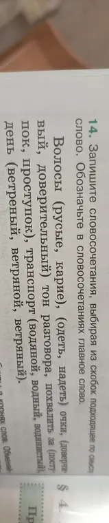 Запиши словосочетания, выбирая из скобок подходящее по смыслу слово. Обозначь в словосочетаниях главное слово: Волосы (русые, карие).