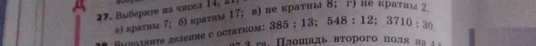 Выполните деление с остатком: 385 : 13