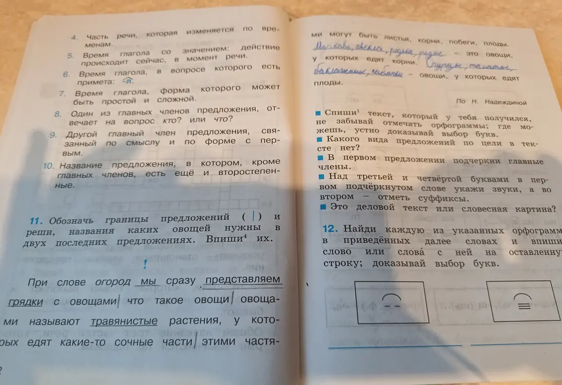 Обозначь границы предложений и реши, названия каких овощей нужны в двух последних предложениях.