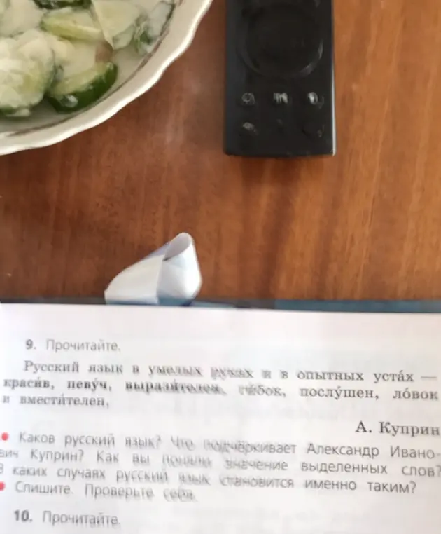 Каков русский язык? Что подчеркивает Александр Иванович Куприн?