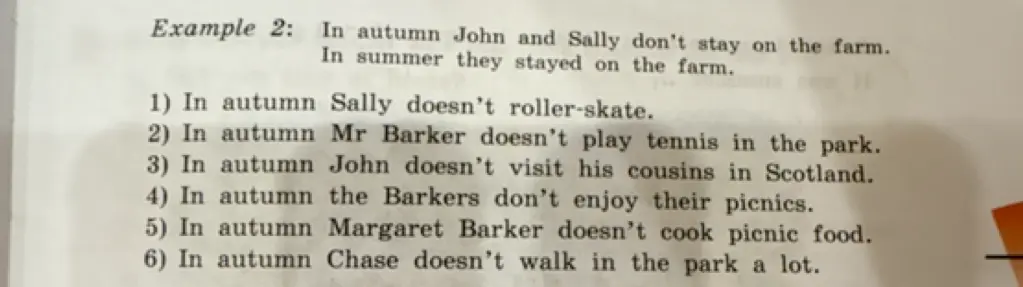 Преобразуй предложение 'In autumn Sally doesn't roller-skate' по образцу.