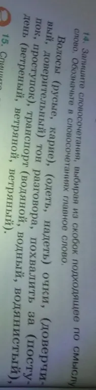 Запиши словосочетания, выбирая из скобок подходящее по смыслу слово. Обозначь в словосочетаниях главное слово. Например: Волосы (русые, карие).