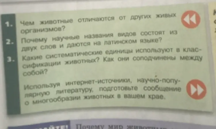 Чем животные отличаются от других живых организмов?