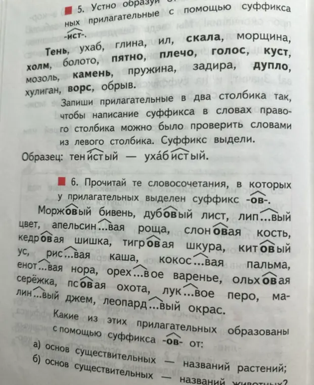 Устно образуй прилагательные с помощью суффикса -ист-.