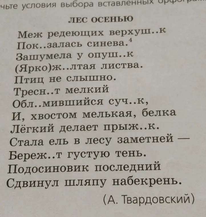 Объясни условия выбора вставленных орфограмм