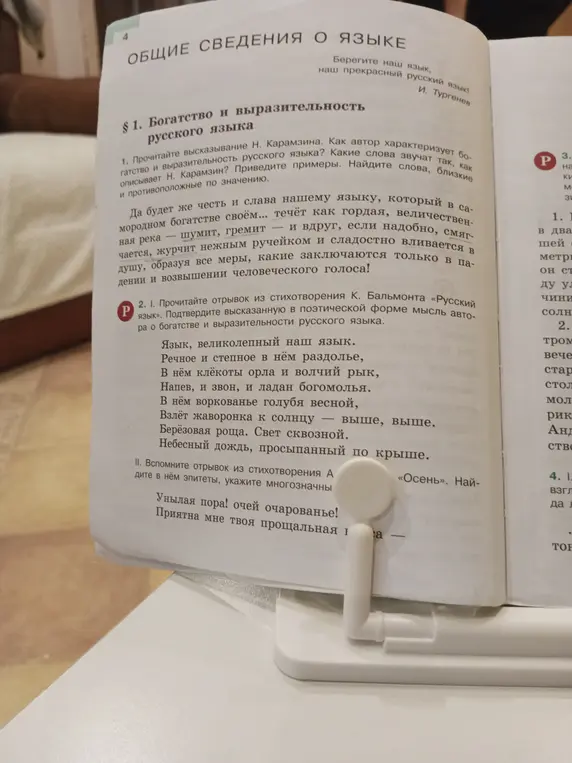 Прочитайте высказывание Н. Карамзина. Как автор характеризует богатство и выразительность русского языка?