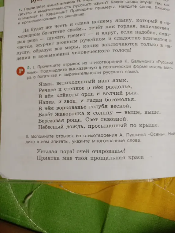 Прочитай отрывок и подтверди высказанную в поэтической форме мысль автора о богатстве и выразительности русского языка.