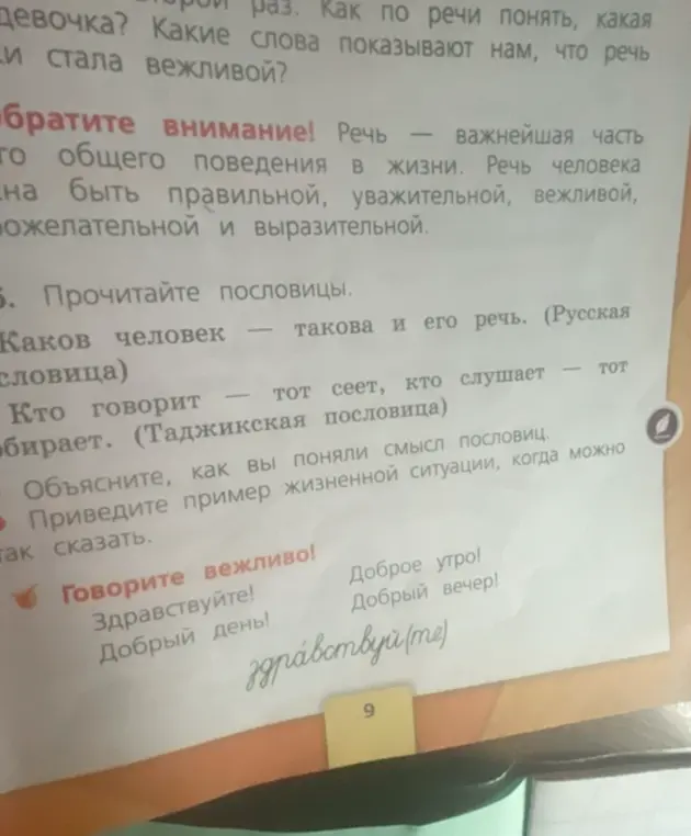Объясни, как ты понял смысл пословиц.