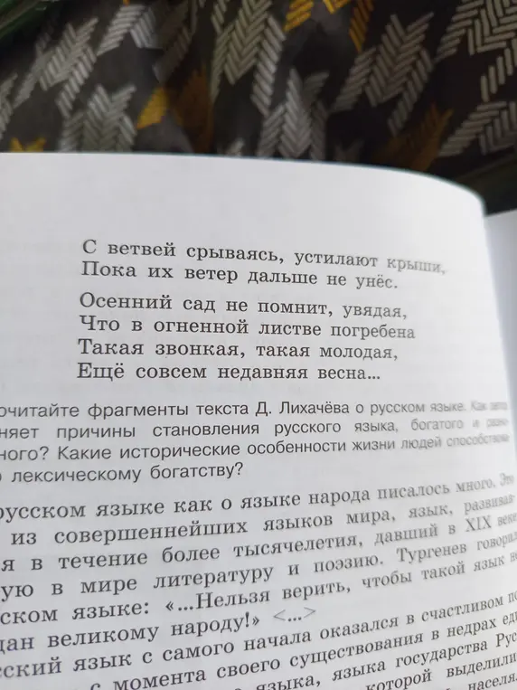 Проанализируй стихотворение 'С ветвей срываясь, устилают крыши...'