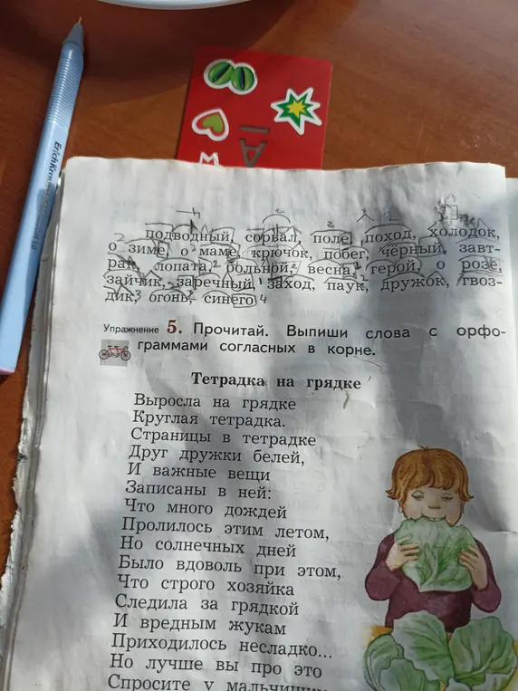 Выпиши слова с орфограммами согласных в корне из текста.