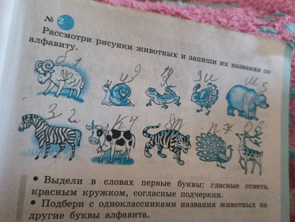 Рассмотри рисунки животных и запиши их названия по алфавиту.